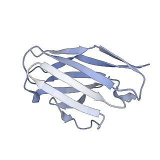 25039_7scn_K_v1-1
Structure of H1 NC99 influenza hemagglutinin bound to Fab 310-63E6