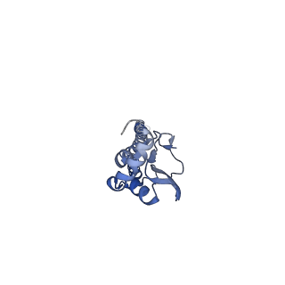25040_7sco_D_v1-1
Structure of H1 influenza hemagglutinin bound to Fab 310-39G10