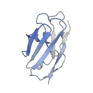 25040_7sco_F_v1-1
Structure of H1 influenza hemagglutinin bound to Fab 310-39G10