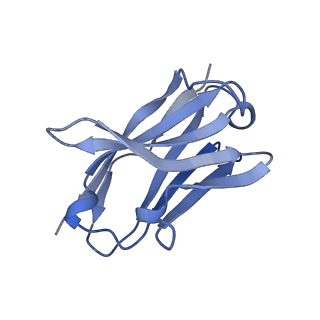 25040_7sco_H_v1-1
Structure of H1 influenza hemagglutinin bound to Fab 310-39G10