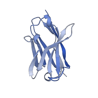 25040_7sco_J_v1-1
Structure of H1 influenza hemagglutinin bound to Fab 310-39G10
