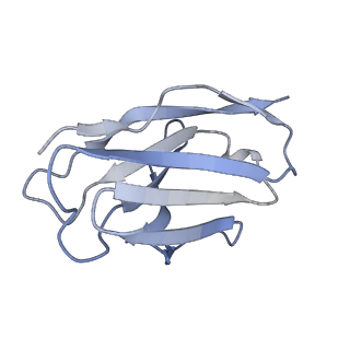 25040_7sco_K_v1-1
Structure of H1 influenza hemagglutinin bound to Fab 310-39G10