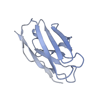 25040_7sco_L_v1-1
Structure of H1 influenza hemagglutinin bound to Fab 310-39G10