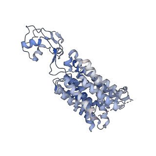 40339_8sc6_A_v1-1
Human OCT1 bound to thiamine in inward-open conformation