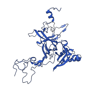 40344_8scb_B_v1-0
Terminating ribosome with SRI-41315