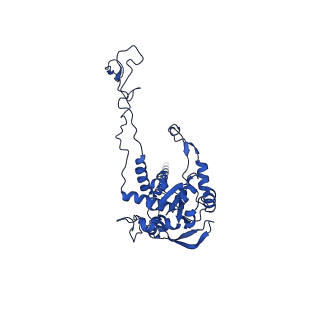 40344_8scb_C_v1-0
Terminating ribosome with SRI-41315