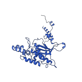 40344_8scb_D_v1-0
Terminating ribosome with SRI-41315