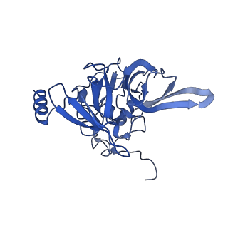 40344_8scb_EE_v1-0
Terminating ribosome with SRI-41315