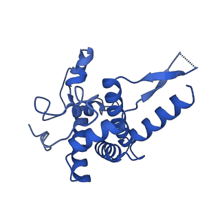 40344_8scb_FF_v1-0
Terminating ribosome with SRI-41315