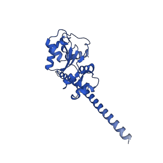 40344_8scb_F_v1-0
Terminating ribosome with SRI-41315