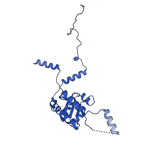 40344_8scb_G_v1-0
Terminating ribosome with SRI-41315
