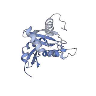 40344_8scb_HH_v1-0
Terminating ribosome with SRI-41315