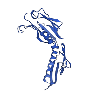 40344_8scb_H_v1-0
Terminating ribosome with SRI-41315