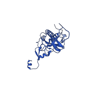 40344_8scb_I_v1-0
Terminating ribosome with SRI-41315