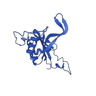40344_8scb_J_v1-0
Terminating ribosome with SRI-41315