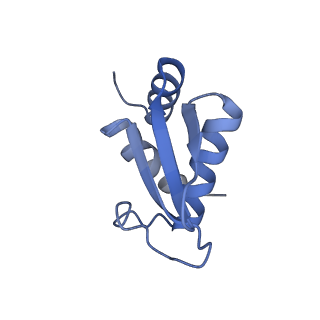40344_8scb_KK_v1-0
Terminating ribosome with SRI-41315