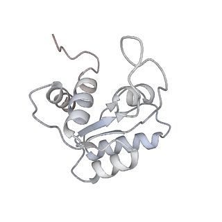 40344_8scb_MM_v1-0
Terminating ribosome with SRI-41315