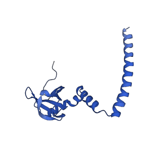 40344_8scb_M_v1-0
Terminating ribosome with SRI-41315