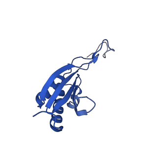 40344_8scb_OO_v1-0
Terminating ribosome with SRI-41315