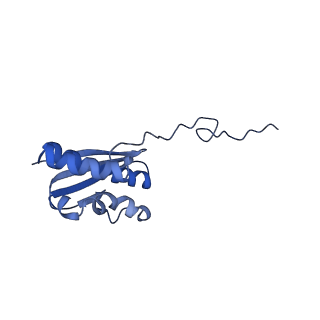 40344_8scb_QQ_v1-0
Terminating ribosome with SRI-41315