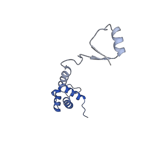40344_8scb_RR_v1-0
Terminating ribosome with SRI-41315