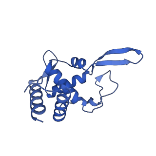 40344_8scb_TT_v1-0
Terminating ribosome with SRI-41315
