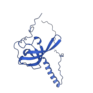 40344_8scb_T_v1-0
Terminating ribosome with SRI-41315