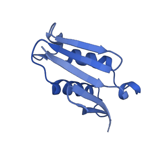 40344_8scb_U_v1-0
Terminating ribosome with SRI-41315