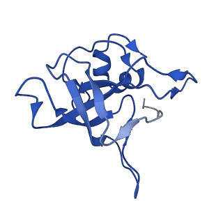 40344_8scb_V_v1-0
Terminating ribosome with SRI-41315