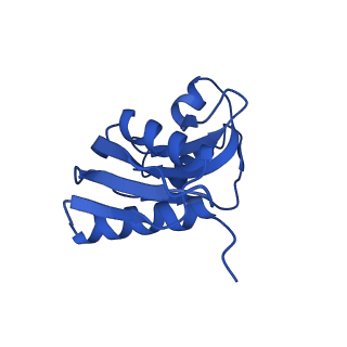 40344_8scb_WW_v1-0
Terminating ribosome with SRI-41315