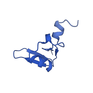 40344_8scb_W_v1-0
Terminating ribosome with SRI-41315