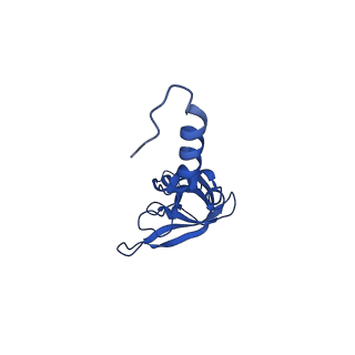 40344_8scb_XX_v1-0
Terminating ribosome with SRI-41315