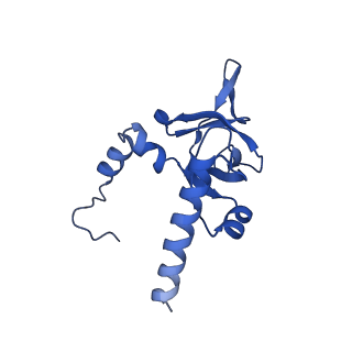 40344_8scb_Y_v1-0
Terminating ribosome with SRI-41315