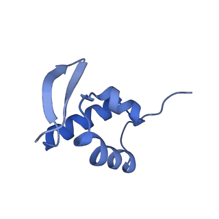 40344_8scb_ZZ_v1-0
Terminating ribosome with SRI-41315