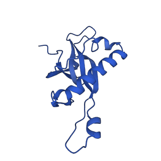40344_8scb_Z_v1-0
Terminating ribosome with SRI-41315