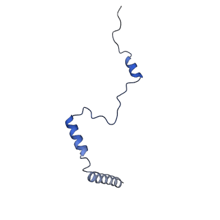40344_8scb_b_v1-0
Terminating ribosome with SRI-41315