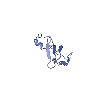 40344_8scb_bb_v1-0
Terminating ribosome with SRI-41315
