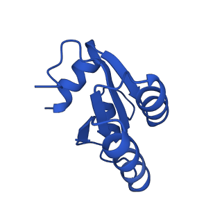 40344_8scb_c_v1-0
Terminating ribosome with SRI-41315