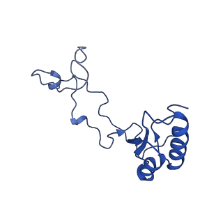 40344_8scb_e_v1-0
Terminating ribosome with SRI-41315
