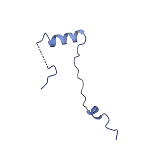 40344_8scb_ee_v1-0
Terminating ribosome with SRI-41315