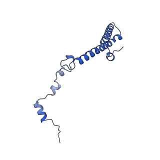 40344_8scb_h_v1-0
Terminating ribosome with SRI-41315