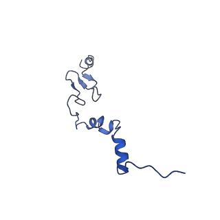 40344_8scb_j_v1-0
Terminating ribosome with SRI-41315