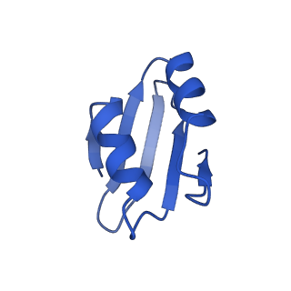 40344_8scb_k_v1-0
Terminating ribosome with SRI-41315