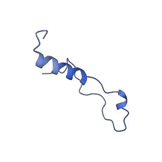 40344_8scb_l_v1-0
Terminating ribosome with SRI-41315
