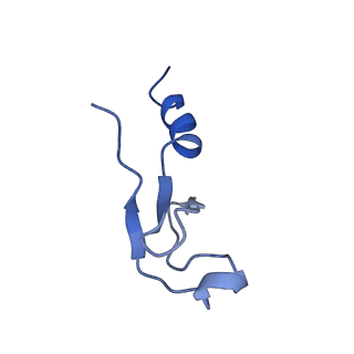 40344_8scb_m_v1-0
Terminating ribosome with SRI-41315