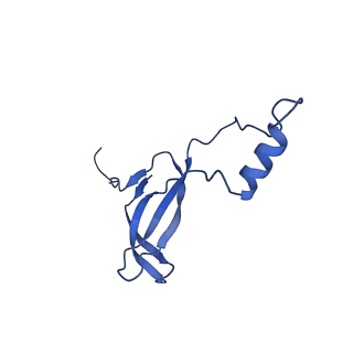 40344_8scb_o_v1-0
Terminating ribosome with SRI-41315