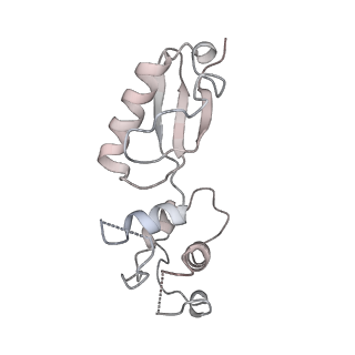 40344_8scb_t_v1-0
Terminating ribosome with SRI-41315