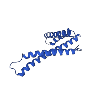 40346_8scx_B_v1-2
Cryo-EM structure of the core TIM23 complex from S. cerevisiae