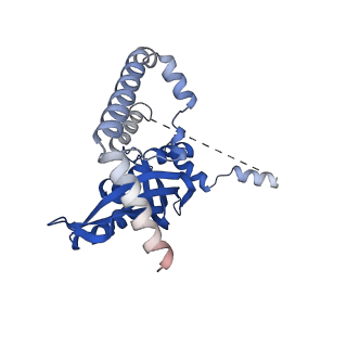 40346_8scx_C_v1-2
Cryo-EM structure of the core TIM23 complex from S. cerevisiae