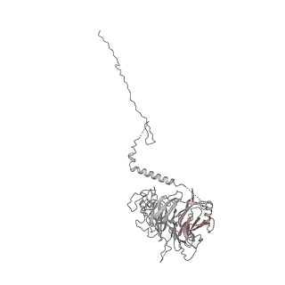 4303_6sc2_C_v1-1
Structure of the dynein-2 complex; IFT-train bound model